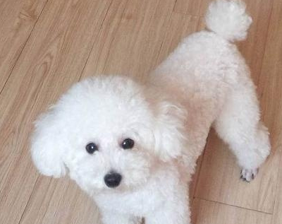 颜色_灰色_因为