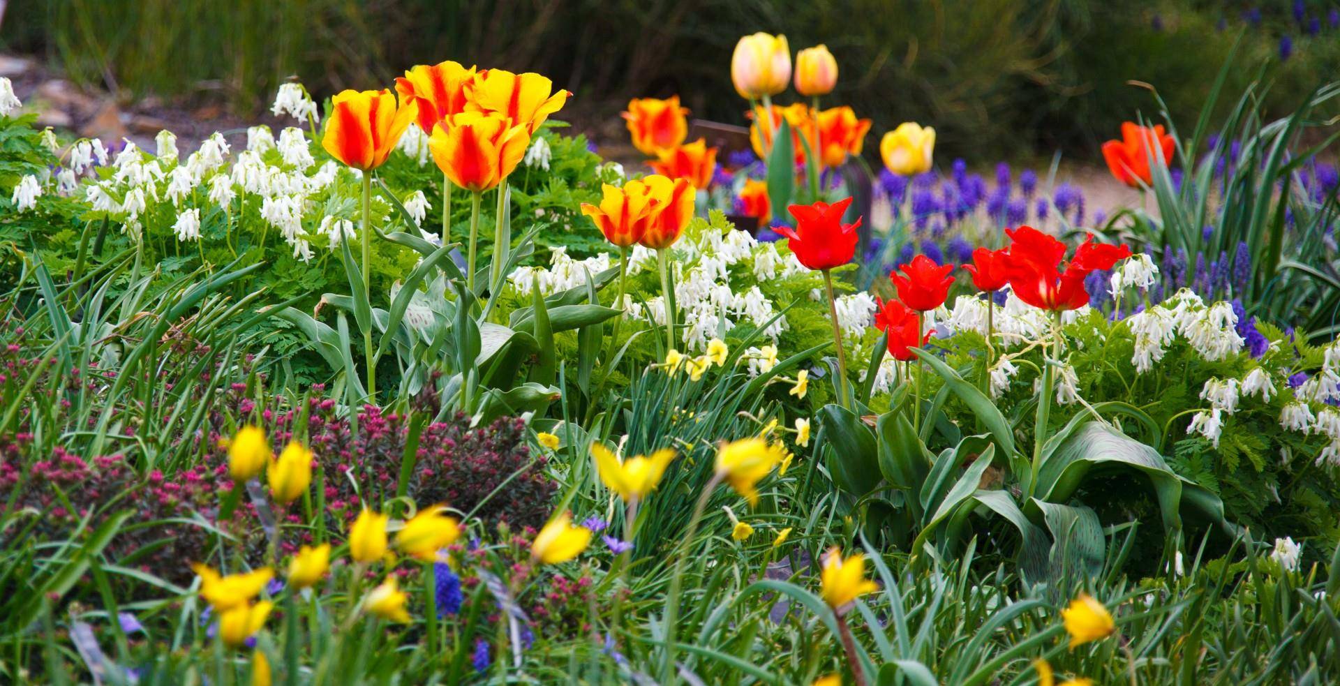 2024年运势喜人,锦鲤保佑,收益一路攀升,心想事成的3大生肖_方面_事业