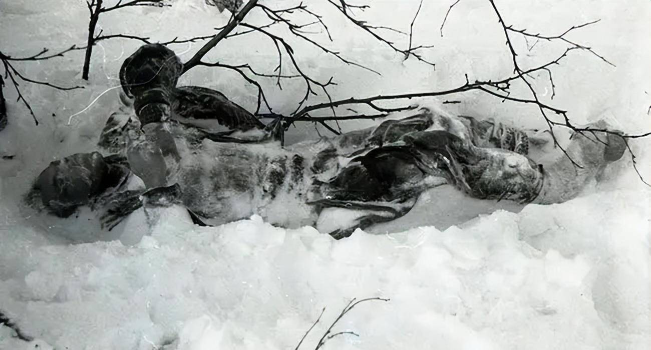 苏联悬案:9名登山员疑似遭某种生物重伤而亡,离奇的
