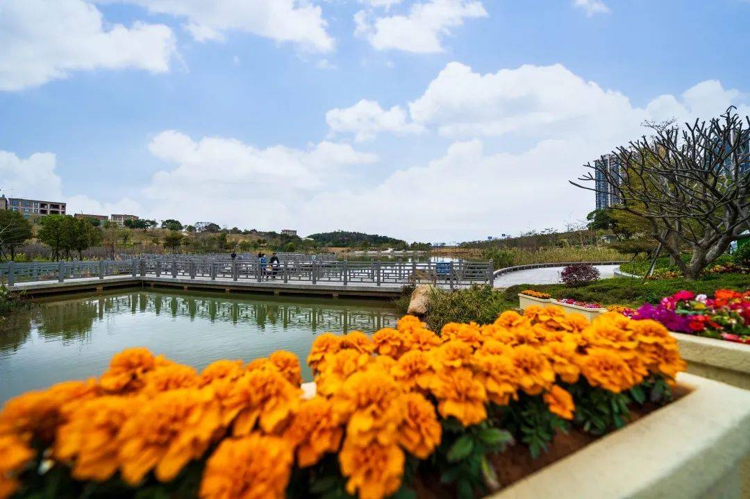 晋江最大自然生态公园即将升级_崎山_招标_工程