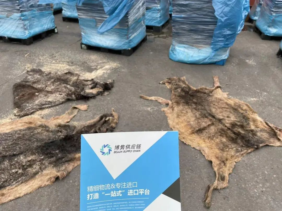 三、影響分析