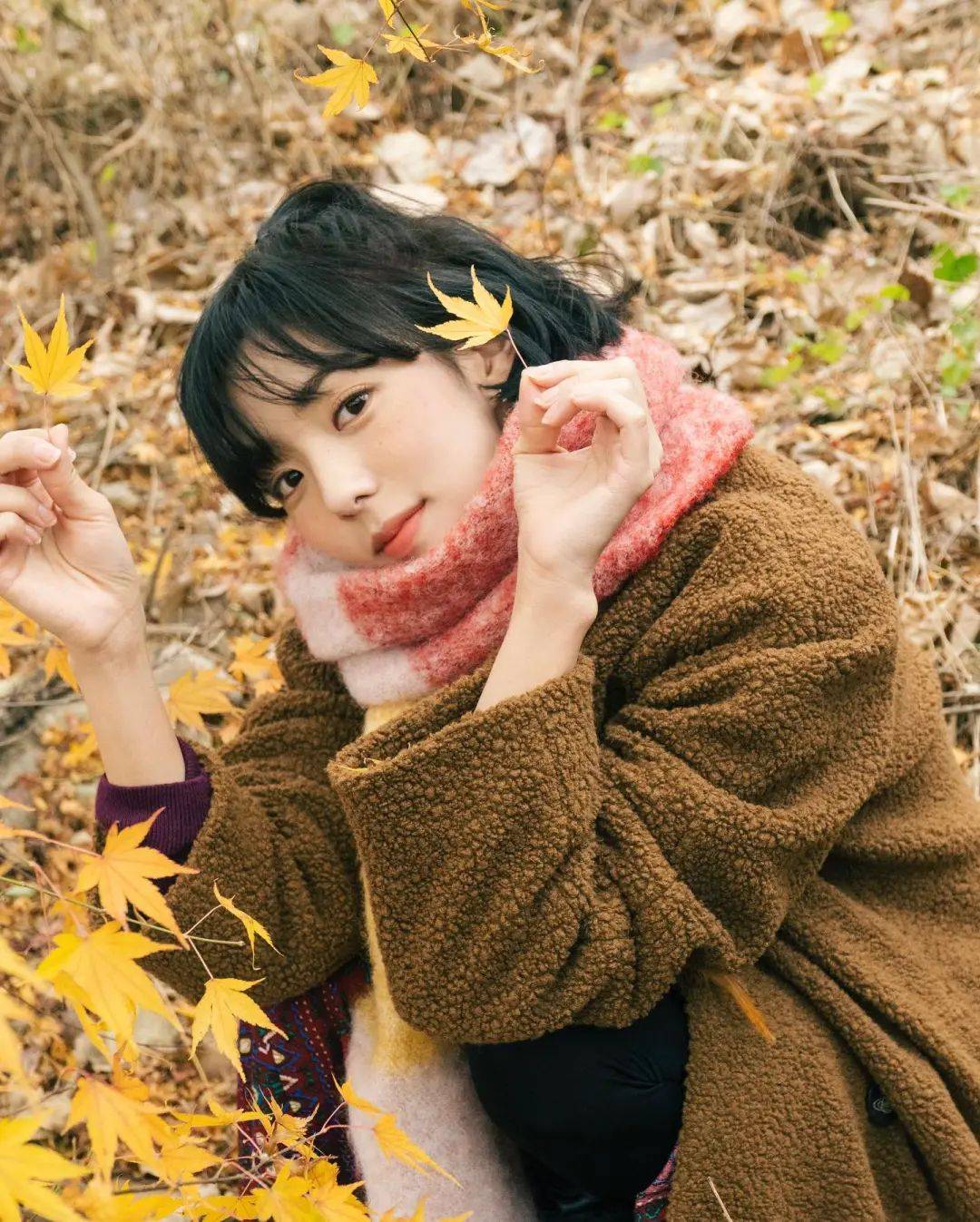 快get女星同款短发,照着剪不踩雷