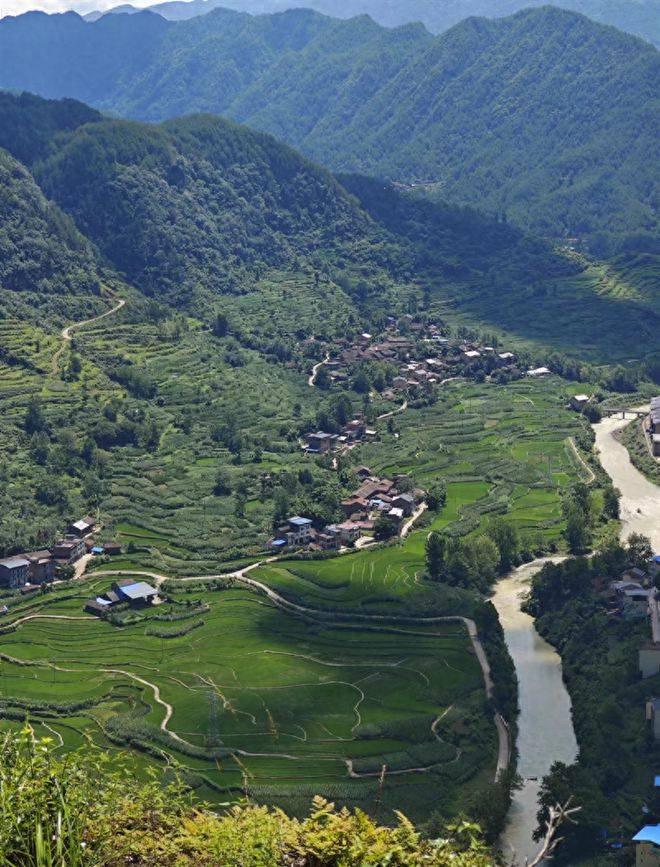 重庆市丰都县暨龙镇凤来社区:"画龙点睛" 照亮乡村幸福路