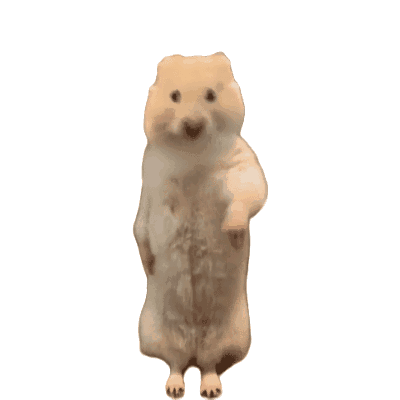 小狗奶牛猫跳舞动态表情包