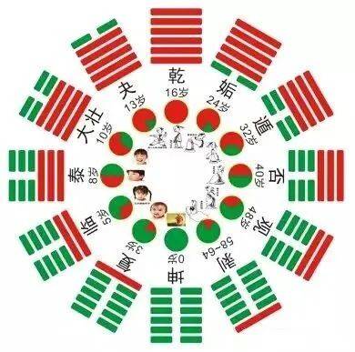 人生六阶段的健康需要德慧智教育|《国学道德经典导读