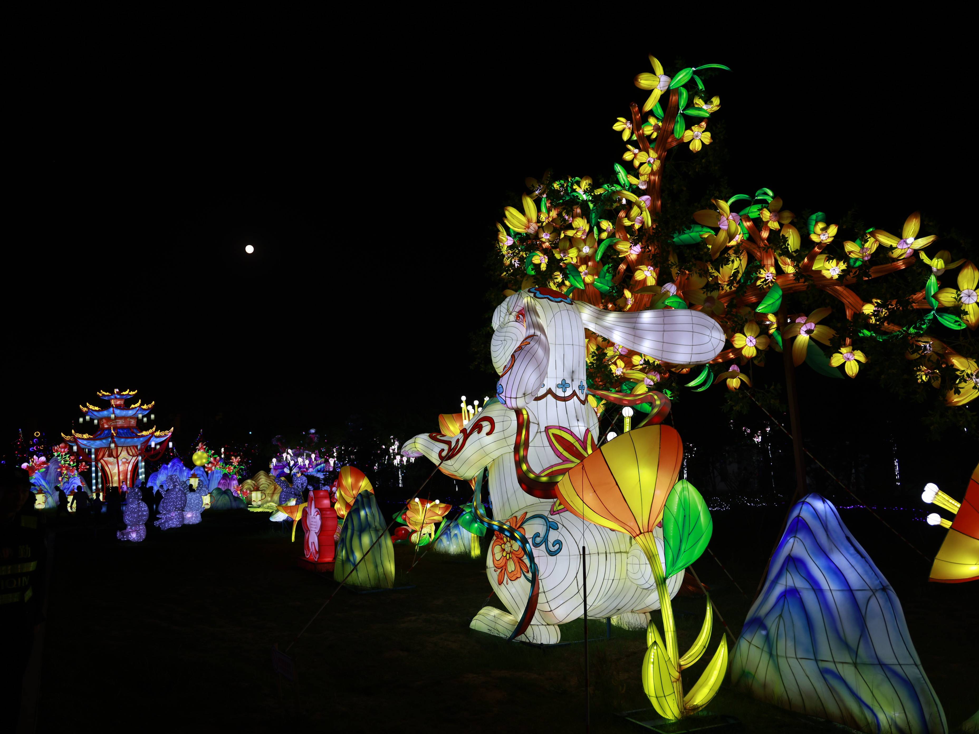 晋阳湖桃花岛图片