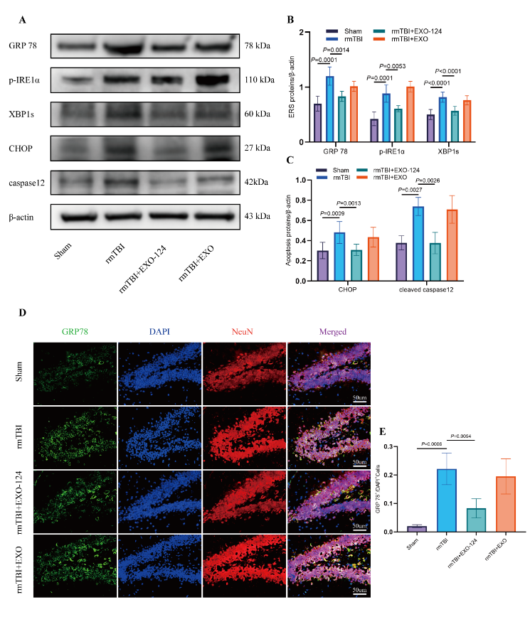 天津医科大学雷平团队提出高表达mir-124-3p的小胶质细胞外泌体可减少