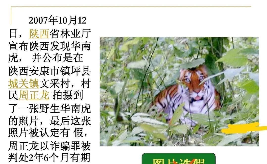 他拍华南虎的照片,被判入狱两年半,出狱后拍到老虎屎,真相大白_周正龙