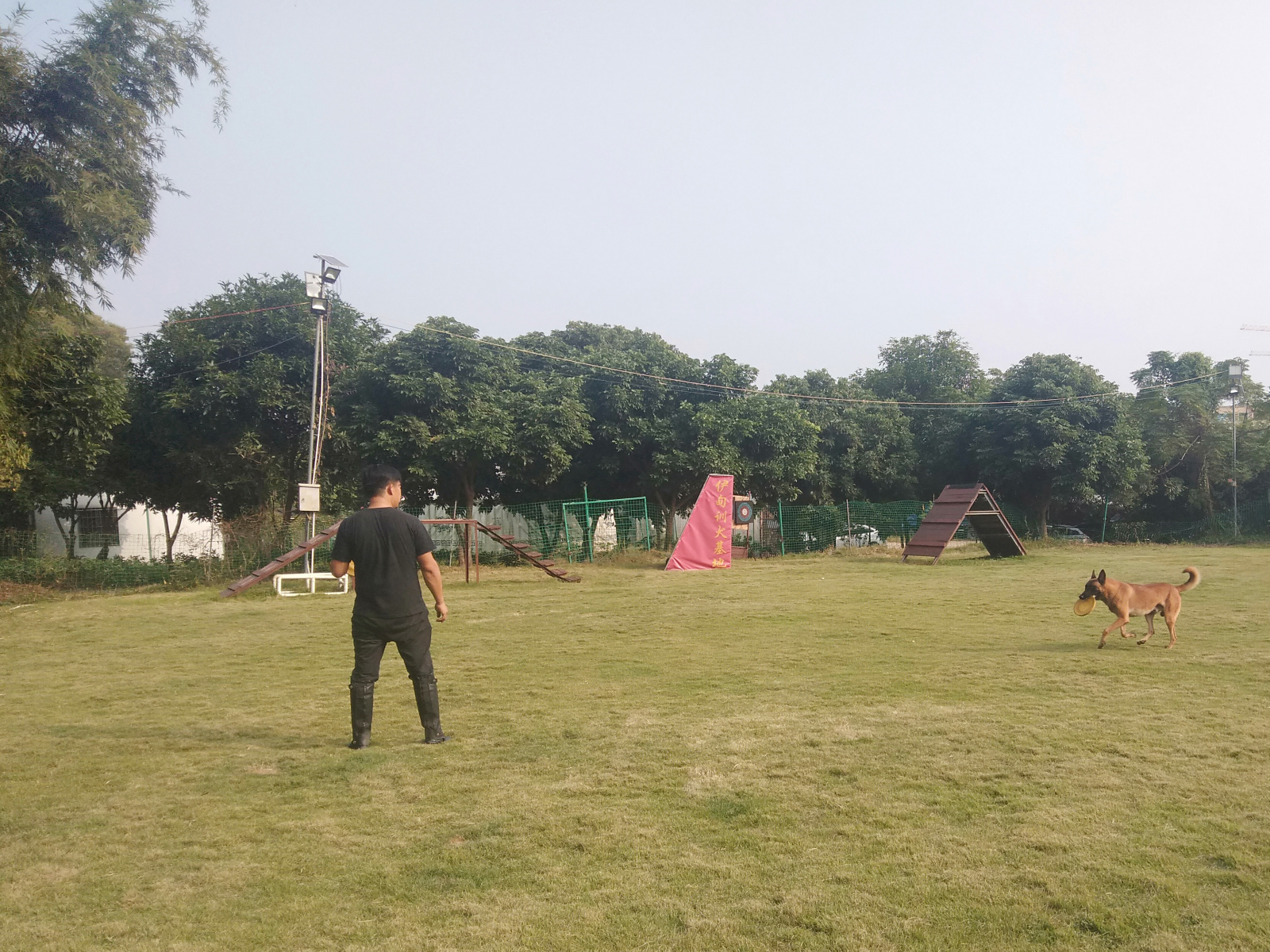 珠海训狗学校要专业靠谱的,伊甸园训犬基地_训练_广东