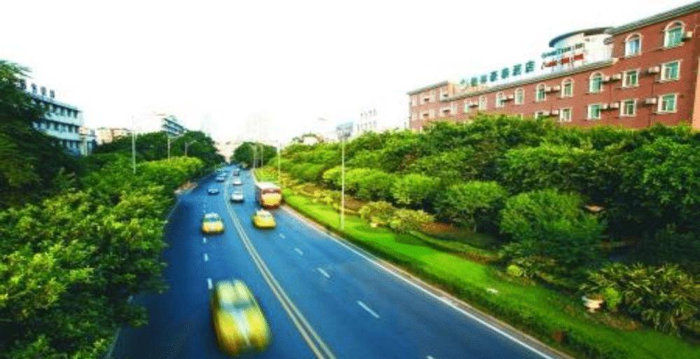 重庆最特殊的道路,绿化带面积比马路还要宽,网友:重要精神象征_渝州