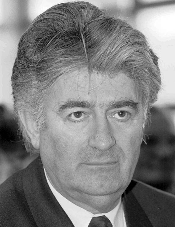 2008年,逃亡13年的卡拉季奇被捕,妻子哭诉:我们与美国