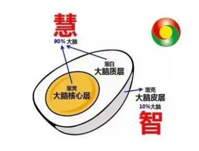 所以我們人類的智識是有限的,現代人類中最聰