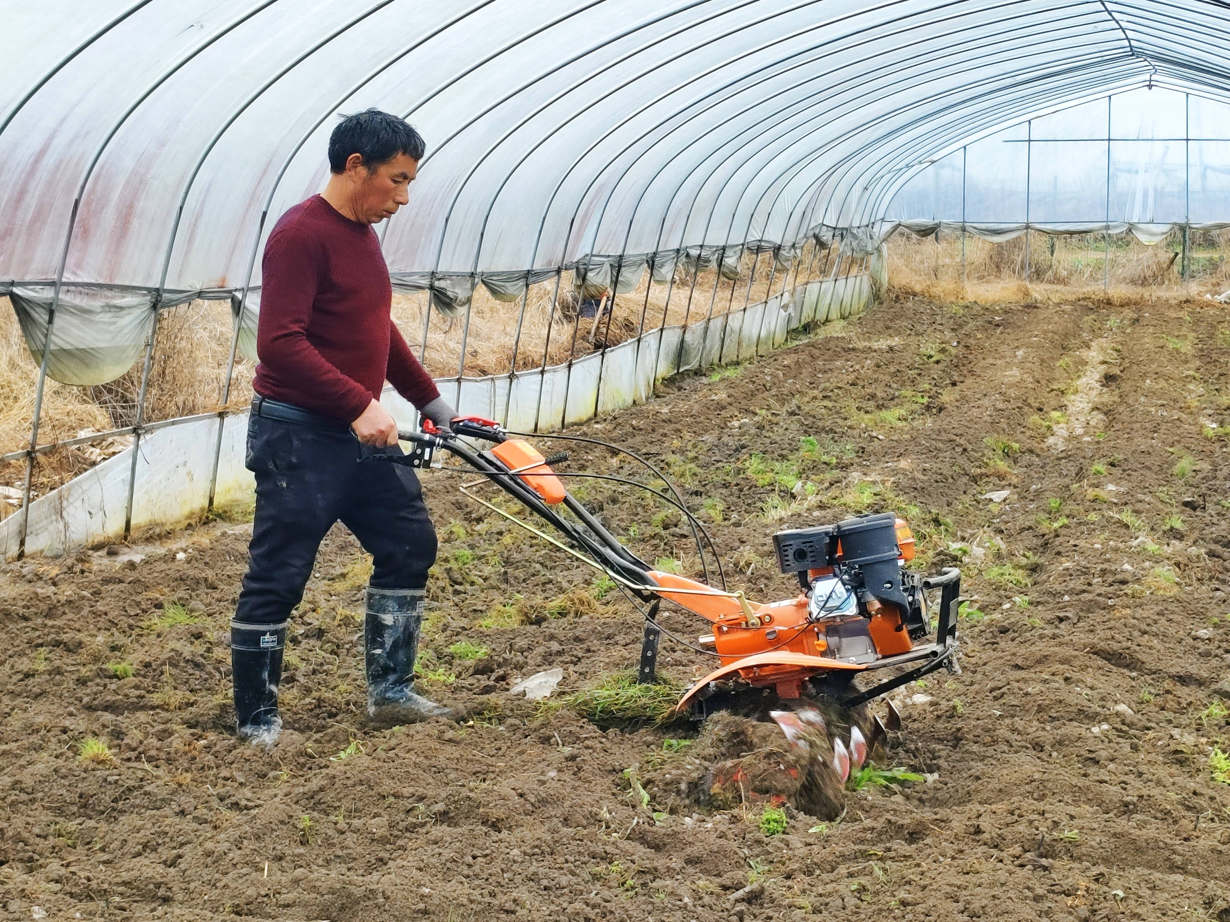 江西省资溪县鹤城镇:育种起垄抢农时,春耕备耕走在前
