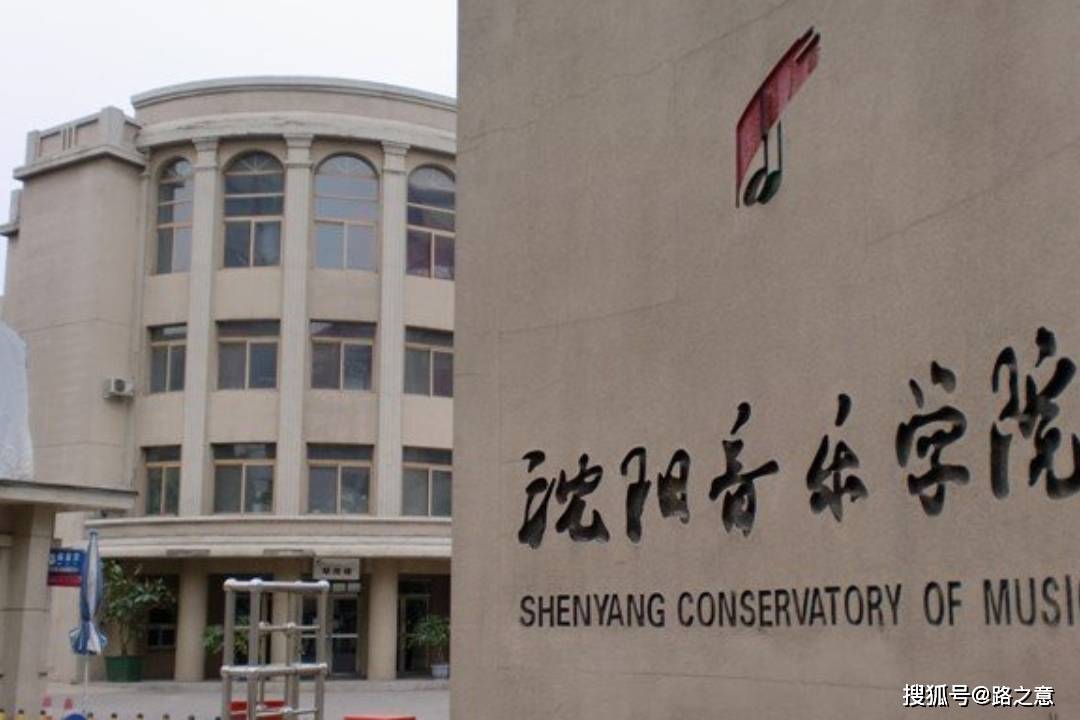 吴霞说:"她说,有个从河南来的小伙子总在音乐学院门口堵她.