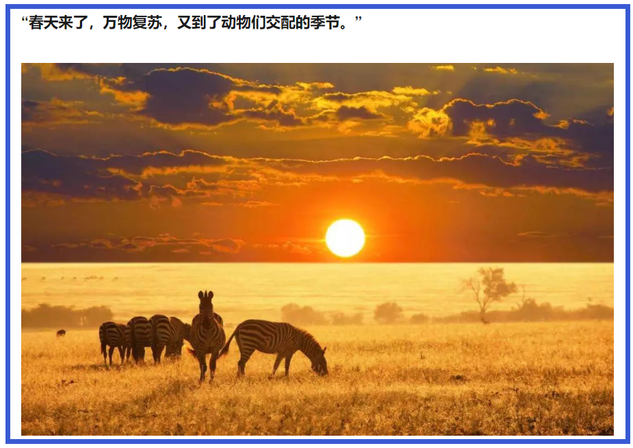 画外音:春天到了,万物复苏,又到了动物那啥啥的季节.
