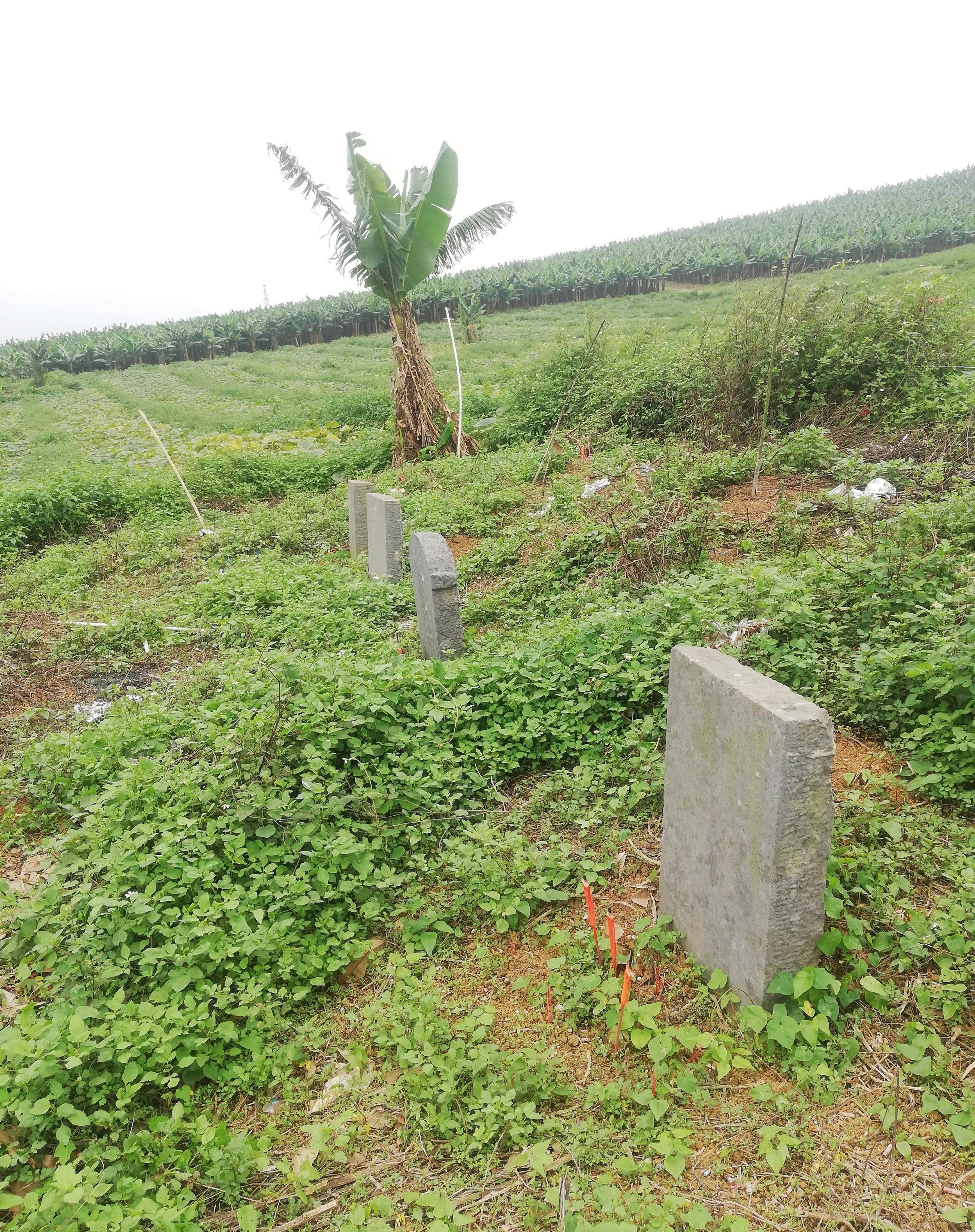 广西南宁市隆安县娅姐坟,2平方公里内坐落着数不清的