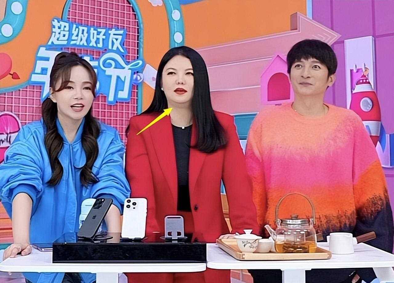 李湘和李维嘉的合体直播带货展现了两人默契的配合和深厚的友谊.