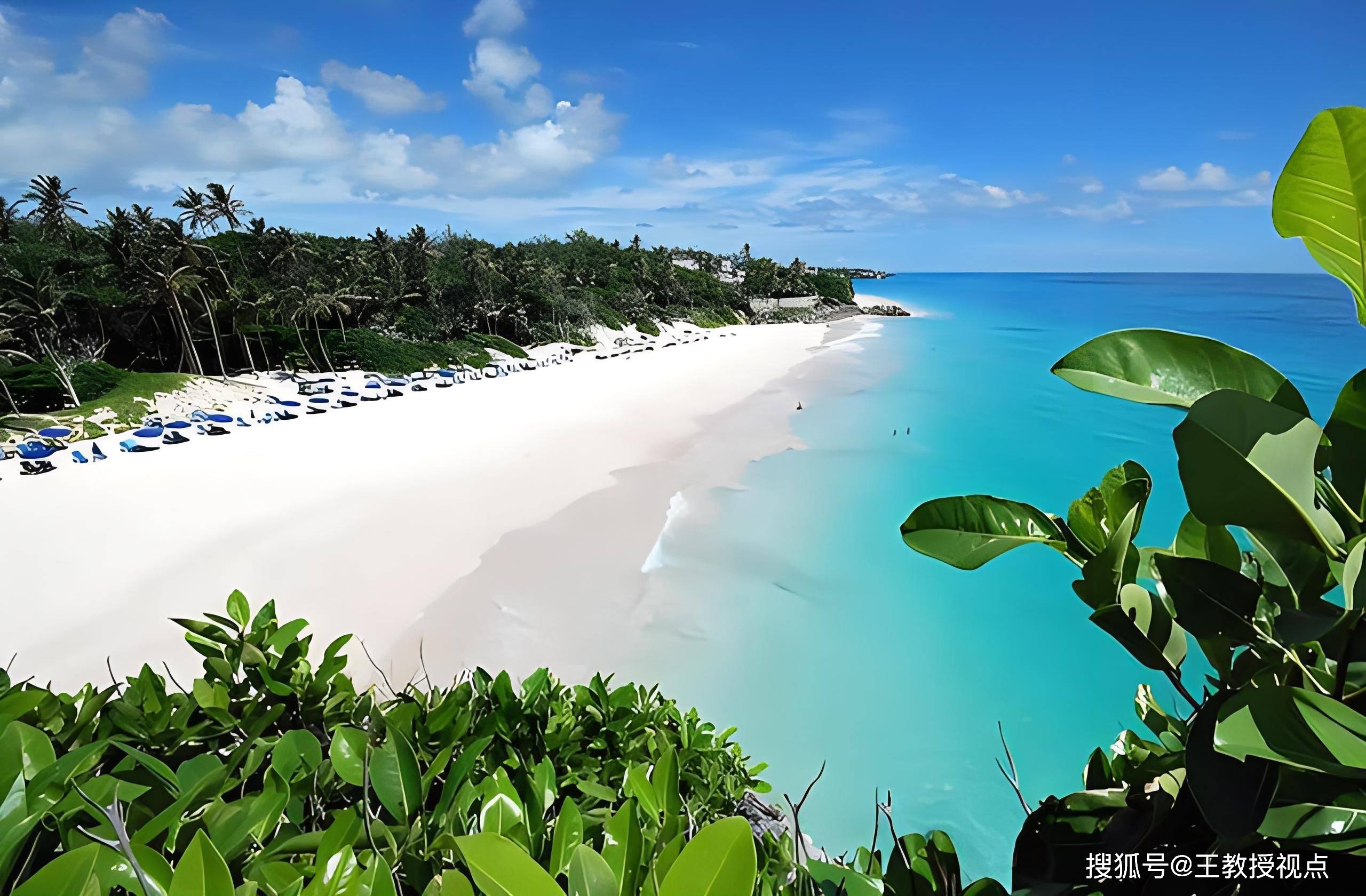 巴巴多斯岛的科学探索:文化与自然的融合_研究_土地_海洋生物