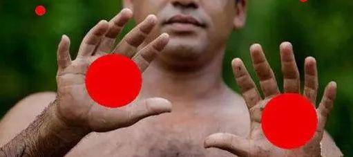 749局"十二指主任"彭超预言2024大事:青龙浴紫火,九运兴华夏_南方