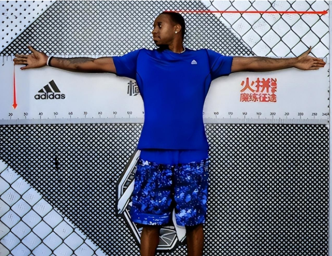 就是臂展长,麦迪干拔才能无视防守,防守端盖帽才