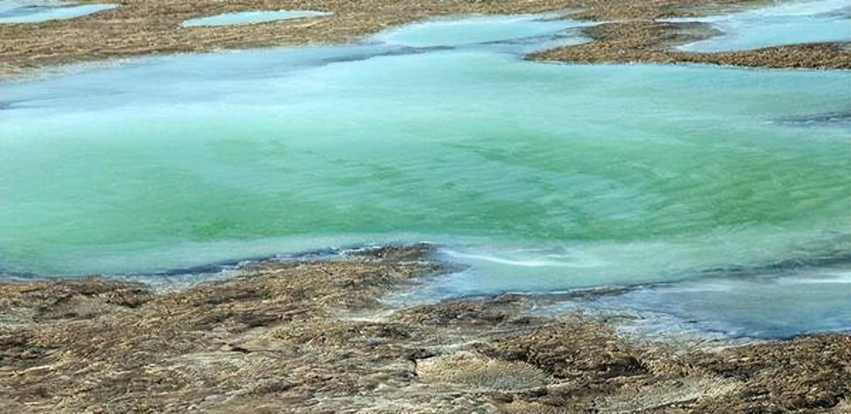 教授进行了大量的研究与考察,最终确定了,这些水并不是普通的湖水