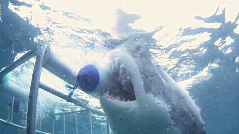 不给你点教训我拿什么做