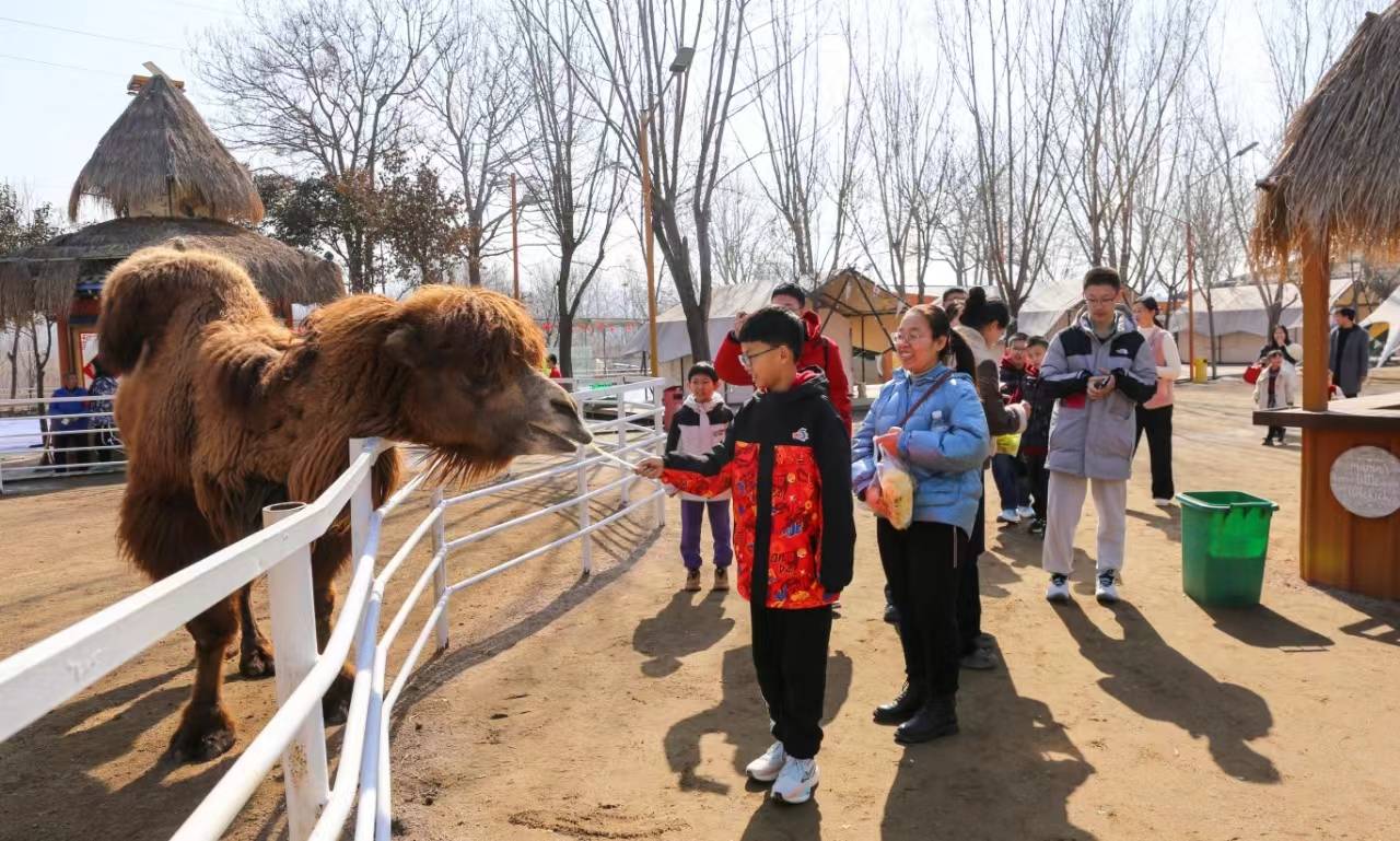 夏县德兰度假村游人如织_南大里乡_动物园_年味
