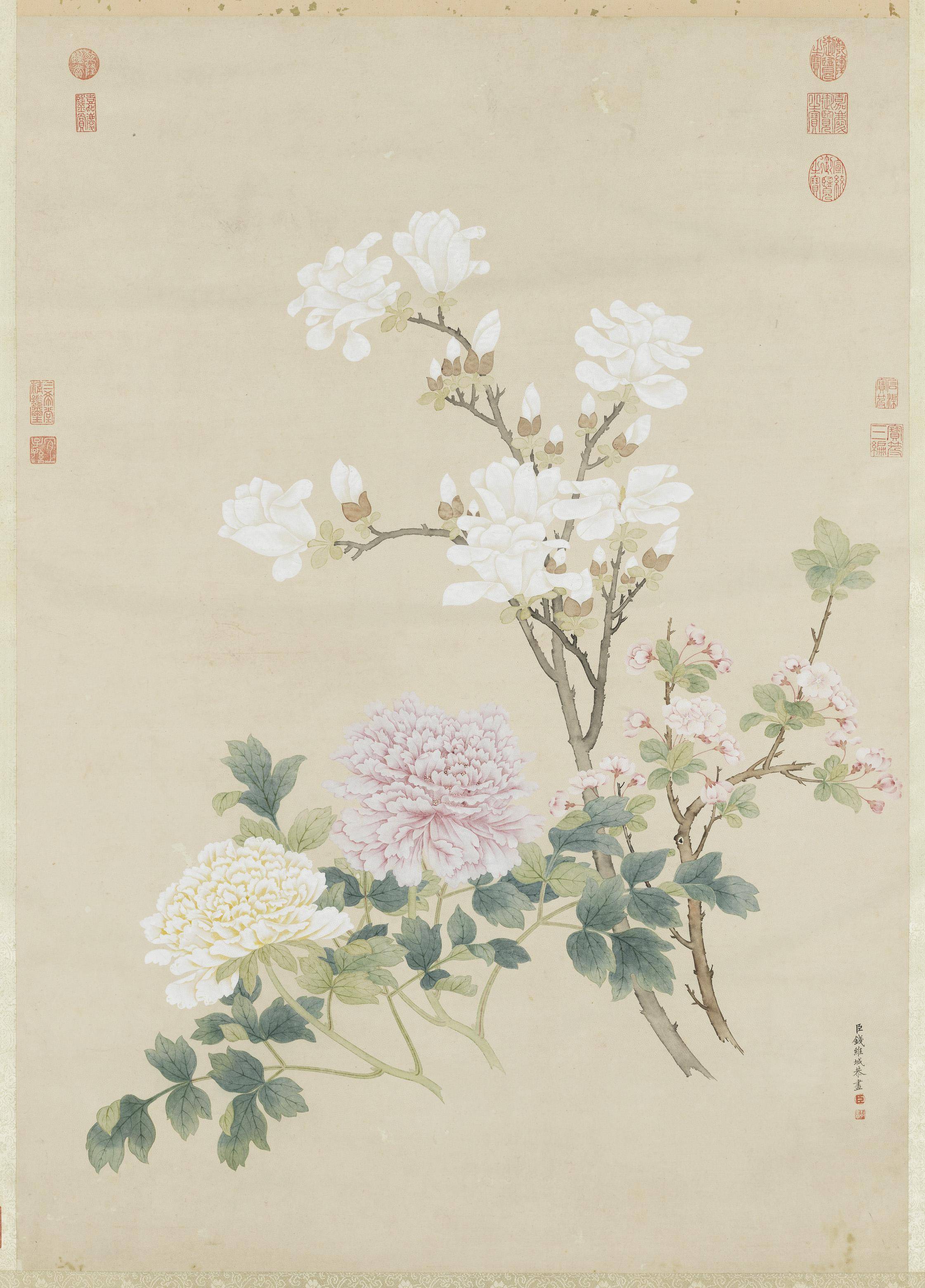 吹面不寒杨柳风——走进古画里的春天_cm_花卉_邹一桂