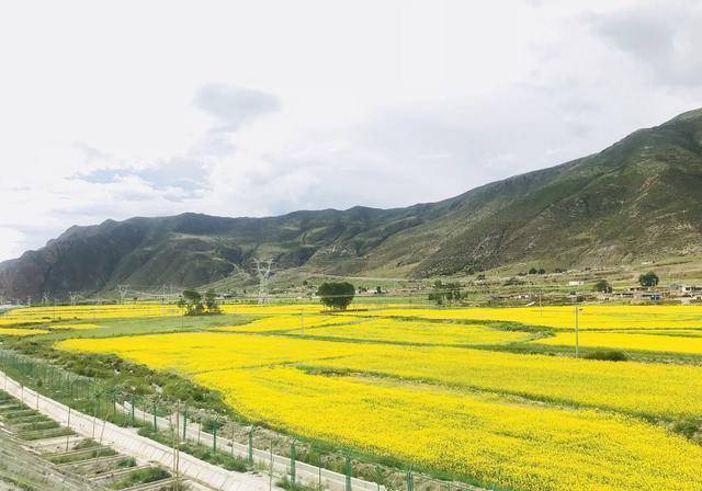 虽然不及318国道弯弯曲曲的风景,但是一路走来,拉林公路也是十分美的