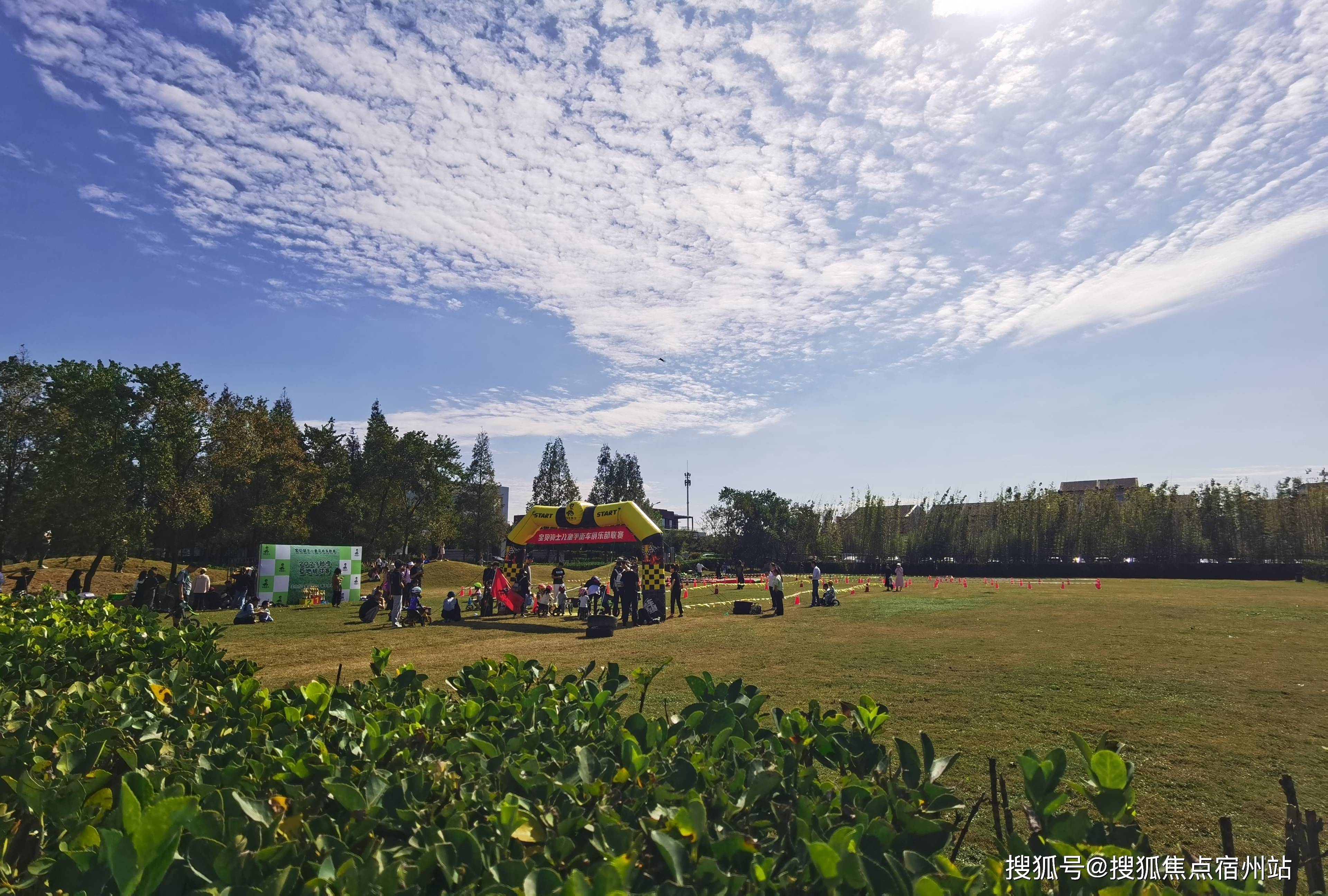 壁纸 成片种植 风景 植物 种植基地 桌面 3840_2592