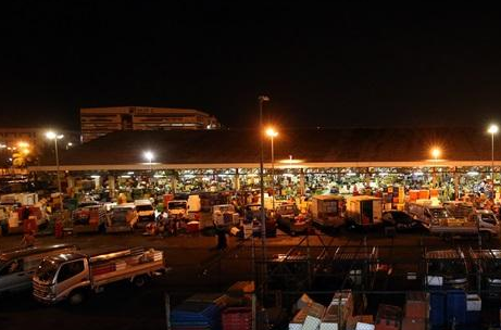 凌晨参观鱼批发市场_渔港_顾客_巴士