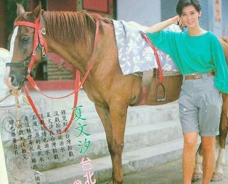 56岁夏文汐,当红时嫁富商退出娱乐圈,如今气质依旧