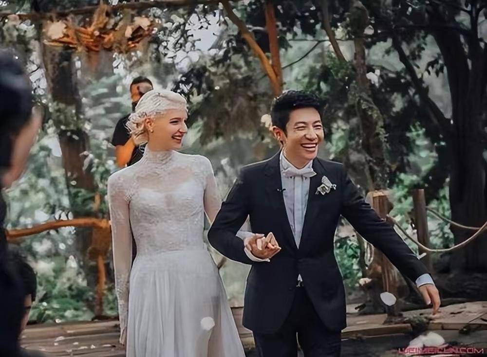 李白撒贝宁的老婆多大图片