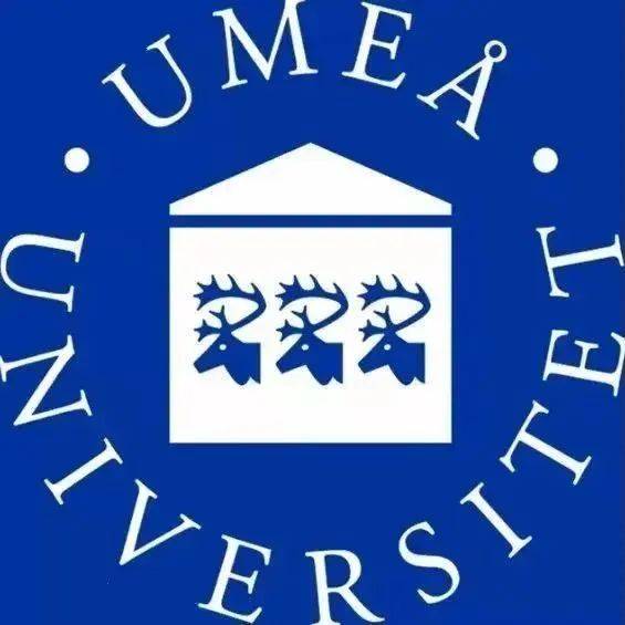 一文带你看透北欧8