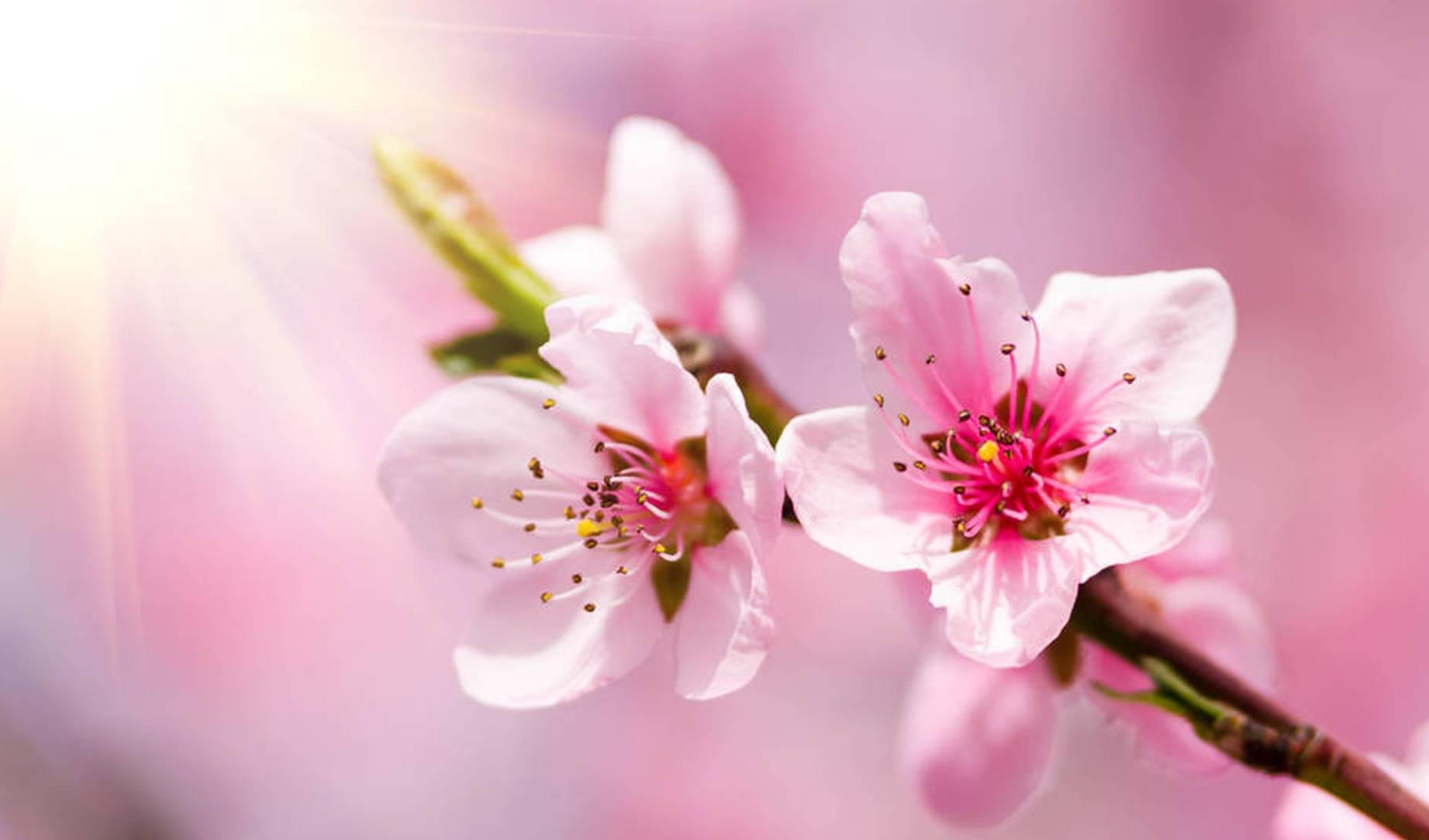 未来3周内,财运上等,收入自然节节高升的3大星座_工作