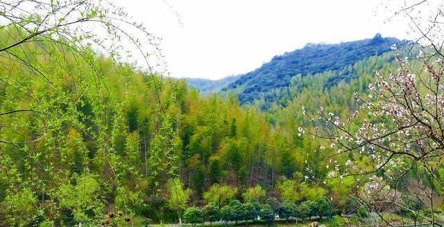 宜兴竹海景区内可以徒步,坐车,根据个人的情况来选择,若是关节不好