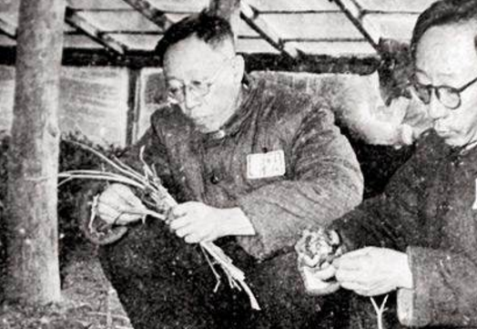 可是被遣送回国后,他并没有被判死刑,而是被给予了劳动改造的机会,一