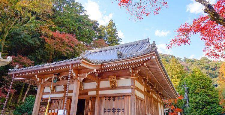 大阪北部近郊这处赏枫宝地,满山金秋光景,还有日本前