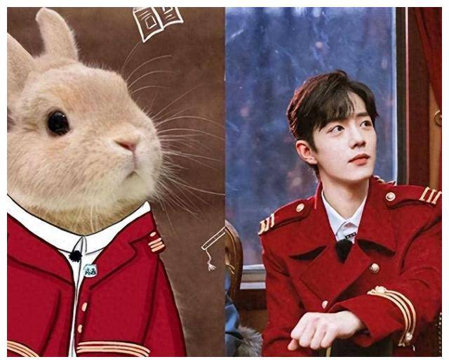 王一博,肖战犹如动物明星,易烊千玺相貌神似!_鲜明对比_形象_猫咪