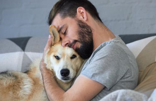 答案是否定的,狗狗只是在配合主人的心情_压力_因为_状态