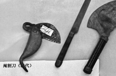 割哪里?_北京_阴茎_刀口