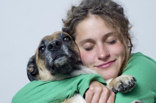 答案是否定的,狗狗只是在配合主人的心情_压力_因为_状态