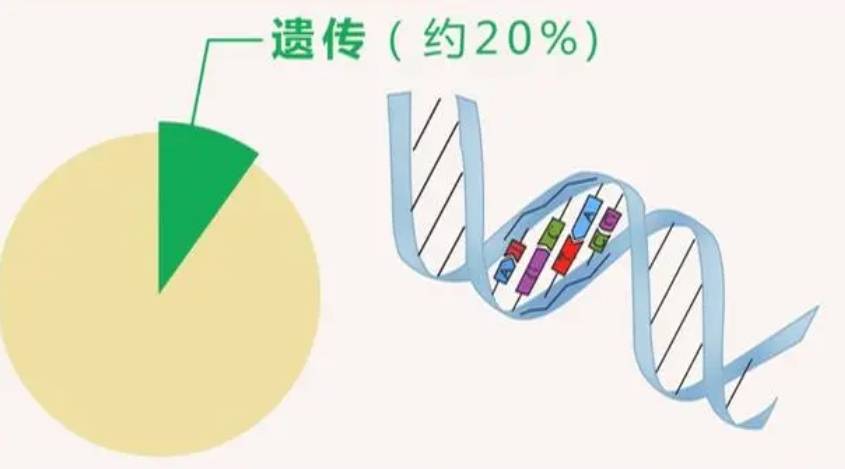 恩次方全民防癌中心:这些癌症具有较高的遗传风险___