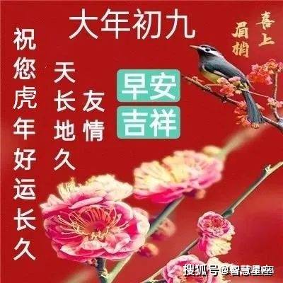 2024大年初九早上好祝福表情包