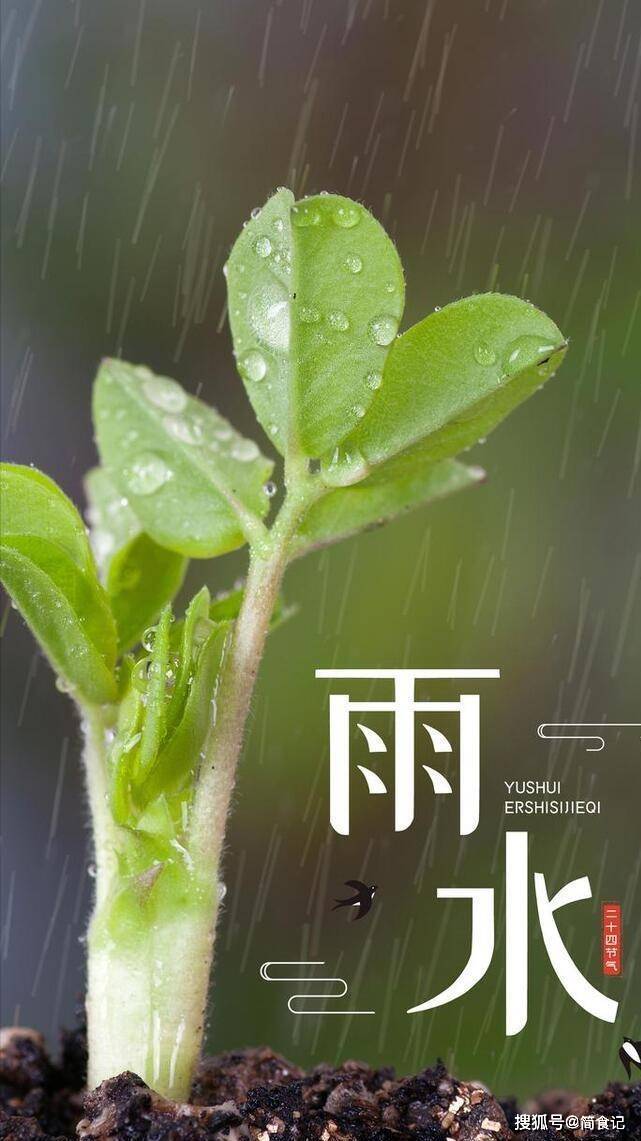 2022年雨水祝福图片图片