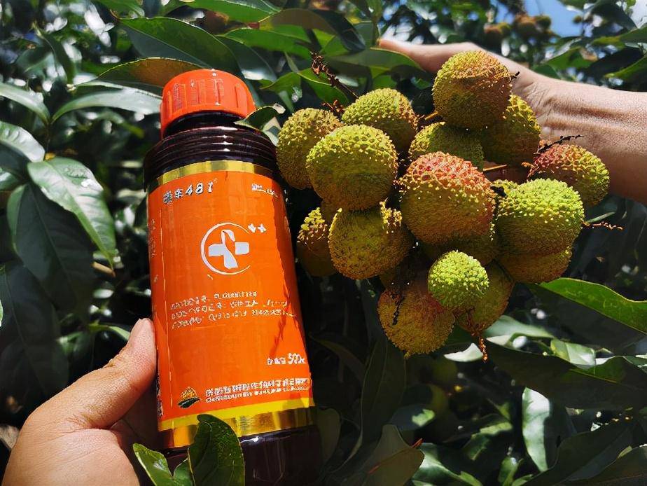 芸苔素硕丰481应用方法,搭配方法,别再说不会用天然素