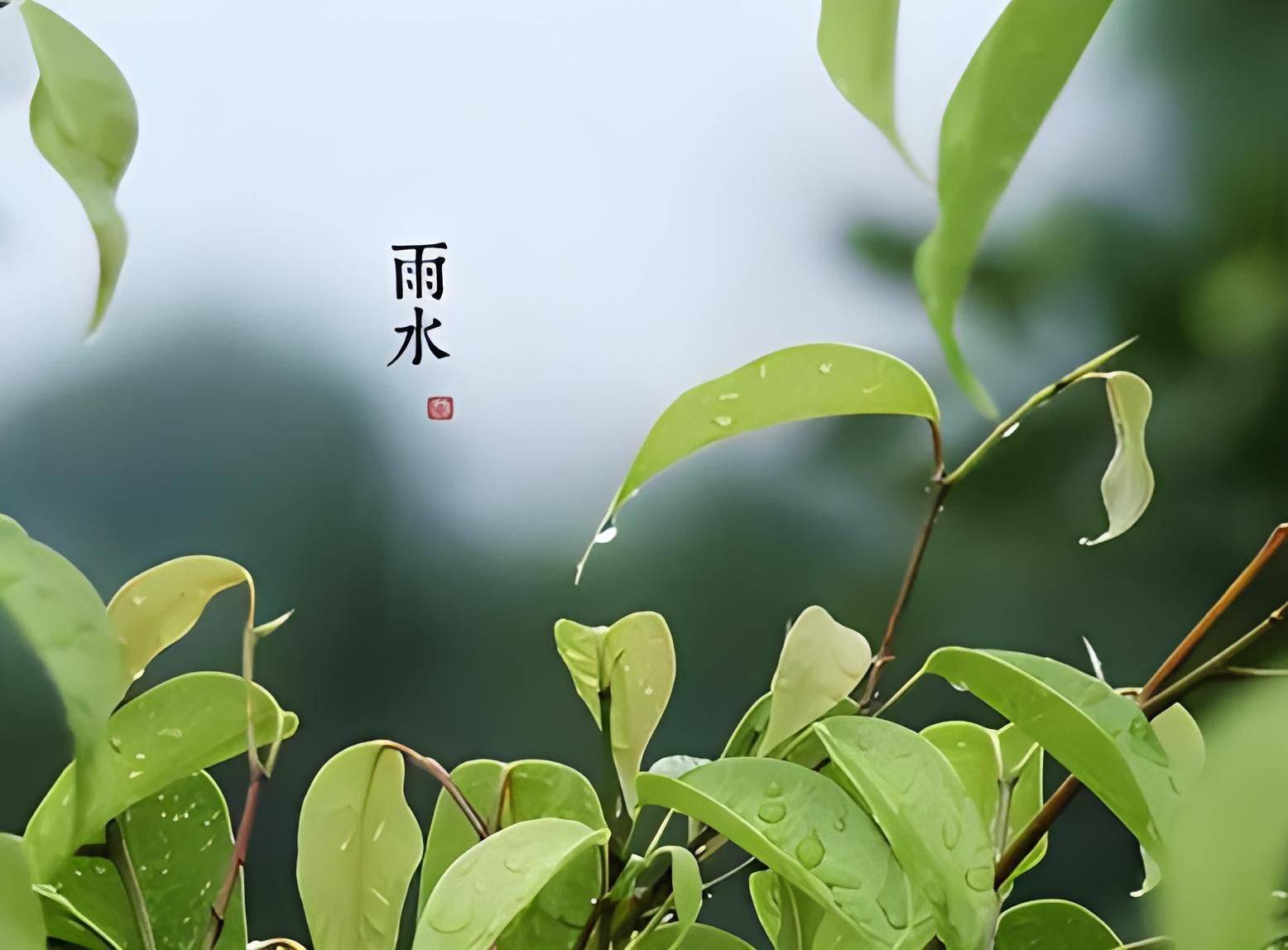 雨水节气植物变化图片