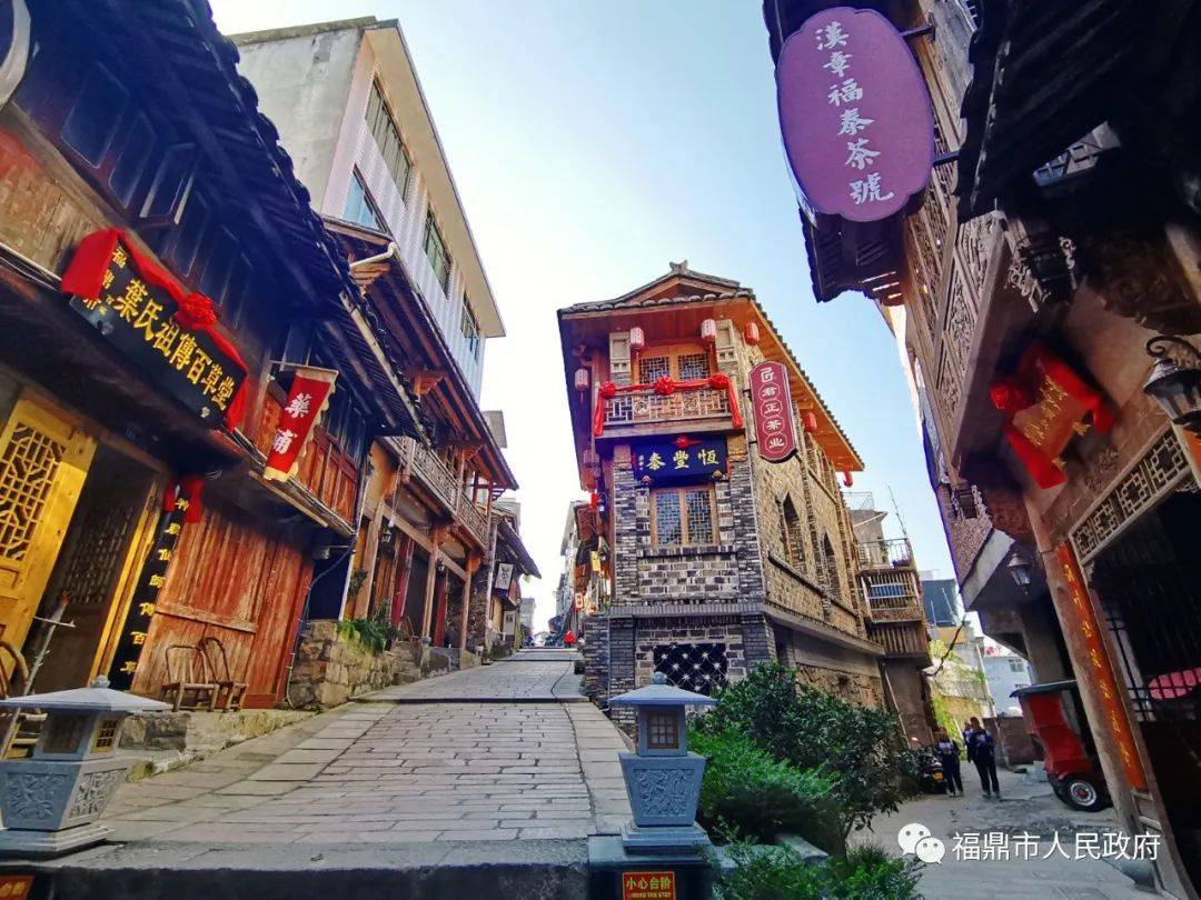 福鼎:做足"茶文章" ,茶香韵味长_白茶_发展_白琳