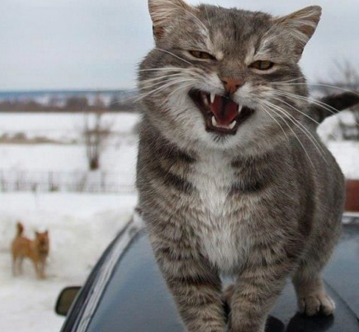 姐夫偷偷溜进了我的房间,做了禽兽之事,真怕东窗事发,丢死人了"乙:"哇