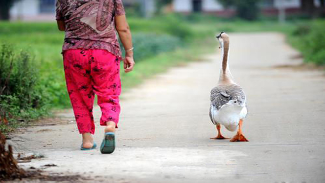 英国骑脸阿根廷,外交大臣访问马岛_合作_发展_双方